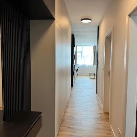 Joy Nord One N2-52 티미쇼아라